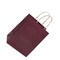 16" x 6" x 12" Shadow Stripe Colored Kraft Shopping Bags - 250 Pcs